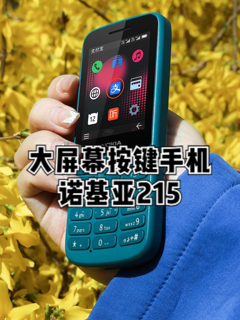 诺基亚FM收音机妙用（诺基亚fm收音机妙用在哪里）