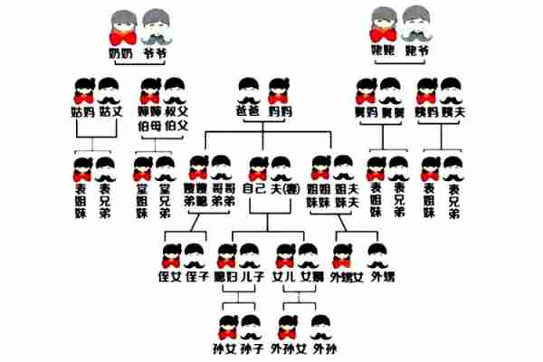 庭知庭救庭家庭识（庭庭是谁）