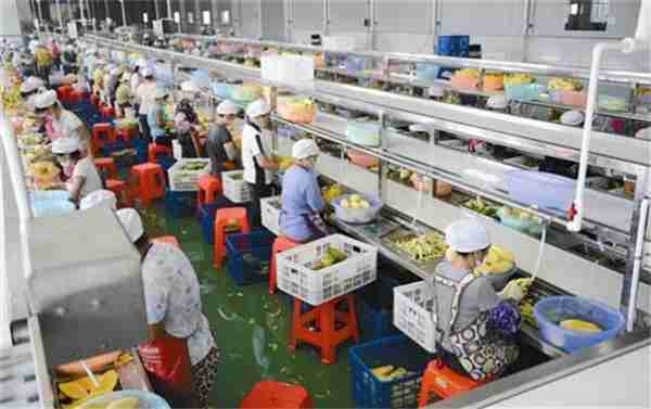 术技农术品品加(农产品加工新技术)