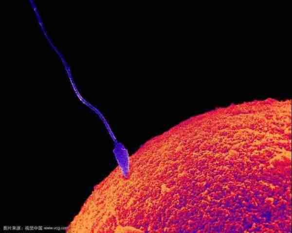 G术场应G景场景(场景指什么意思)