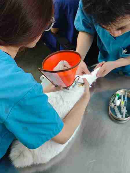 物保性生物生护（生物保护专业出来了可以做什么工作）