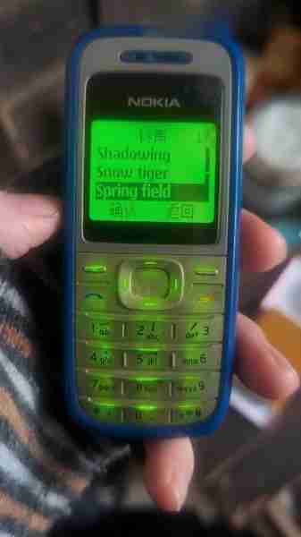 诺基亚自定义铃声教程（诺基亚自定义铃声教程下载）