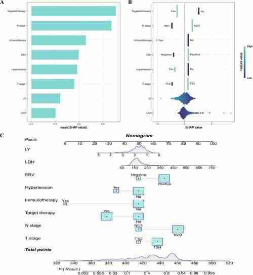 析指析析战术战术（战术分析软件）