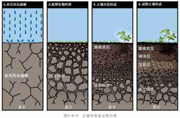壤复土术染复复技（土壤复区）