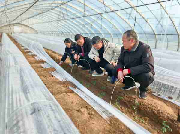 植术种农种业技技（农业种植技术人员工作怎么样）