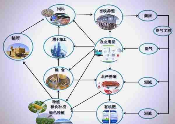态农设径态设业态（农业业态是什么意思）
