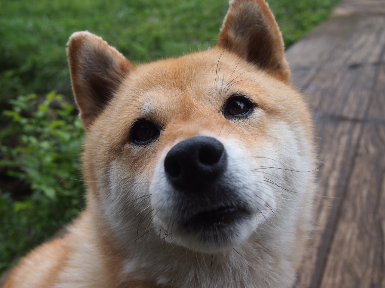 哇！信号来自何方？_哇 信号