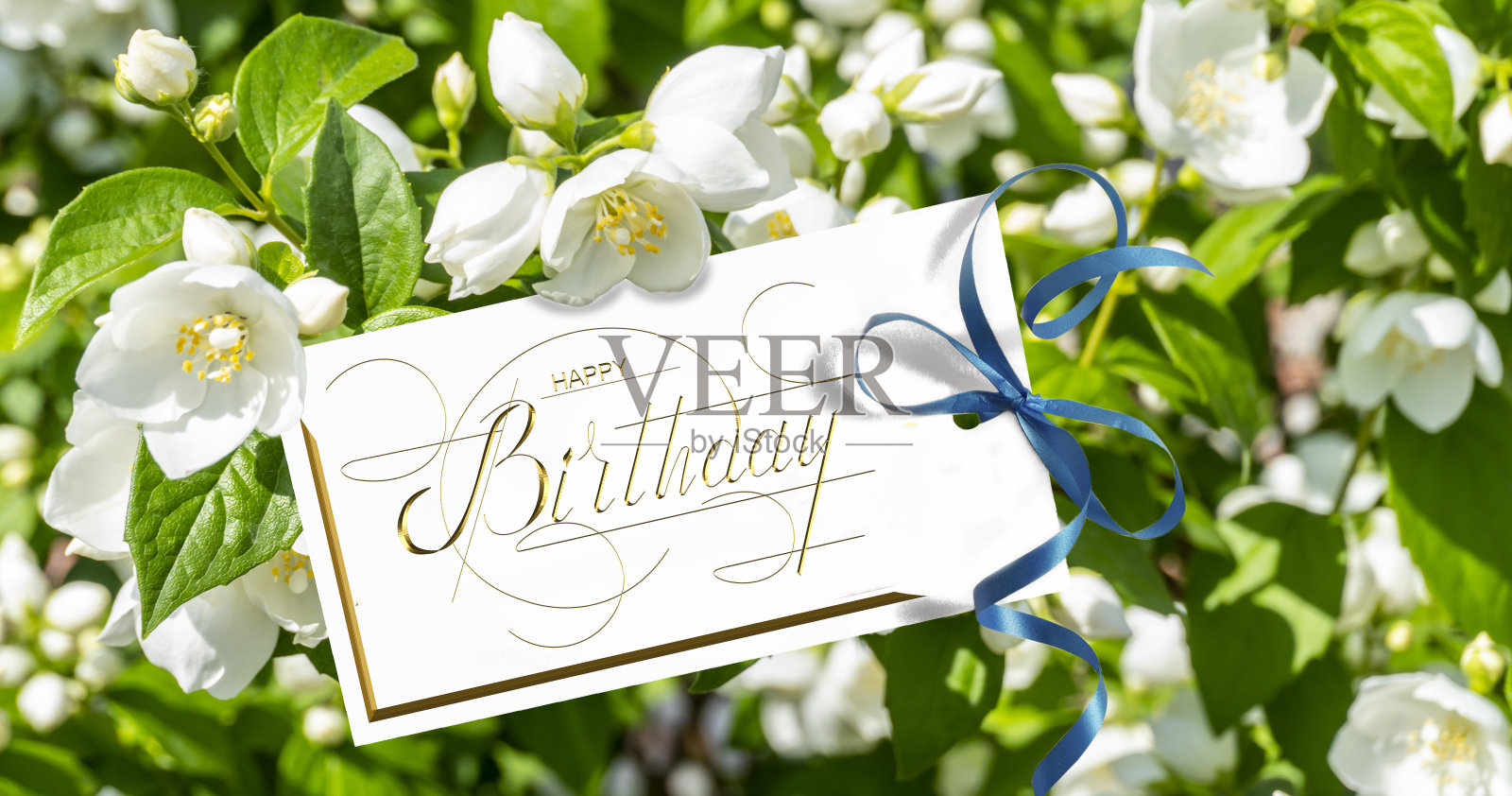 互联网的“生日”_互联网的生日