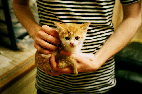 少子化社会如何维系？_少子化现状