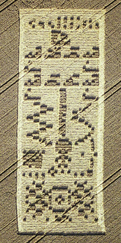 麦田怪圈：人为还是未知？_麦田怪圈是未解之谜吗