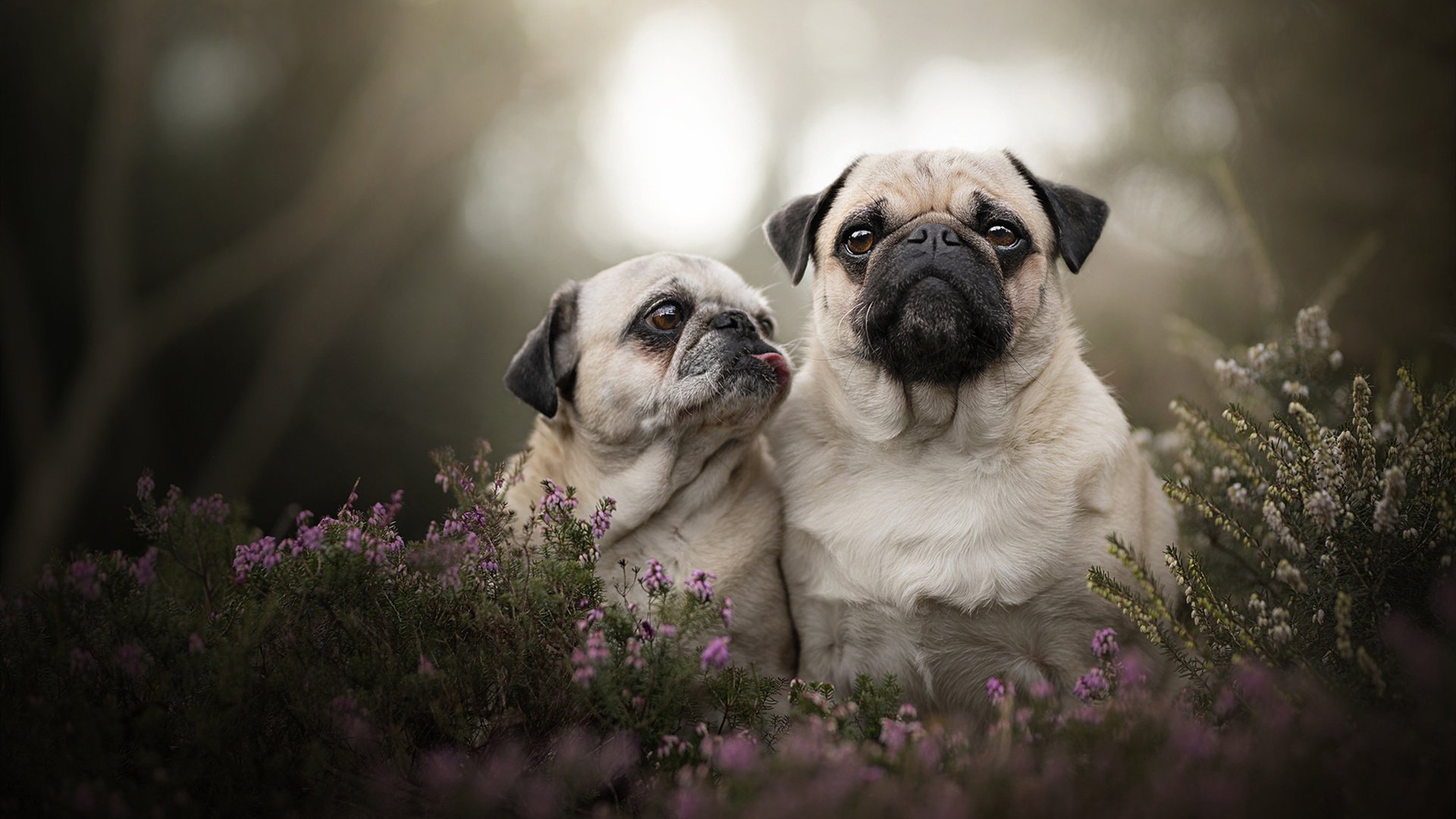 你不知道的身体奥秘_你不知道的身体奥秘有哪些