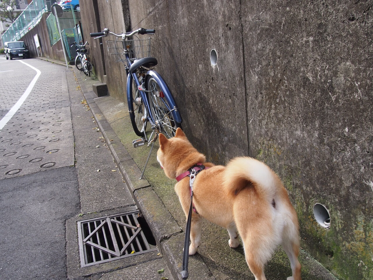 冷战中的间谍传奇_冷战 间谍