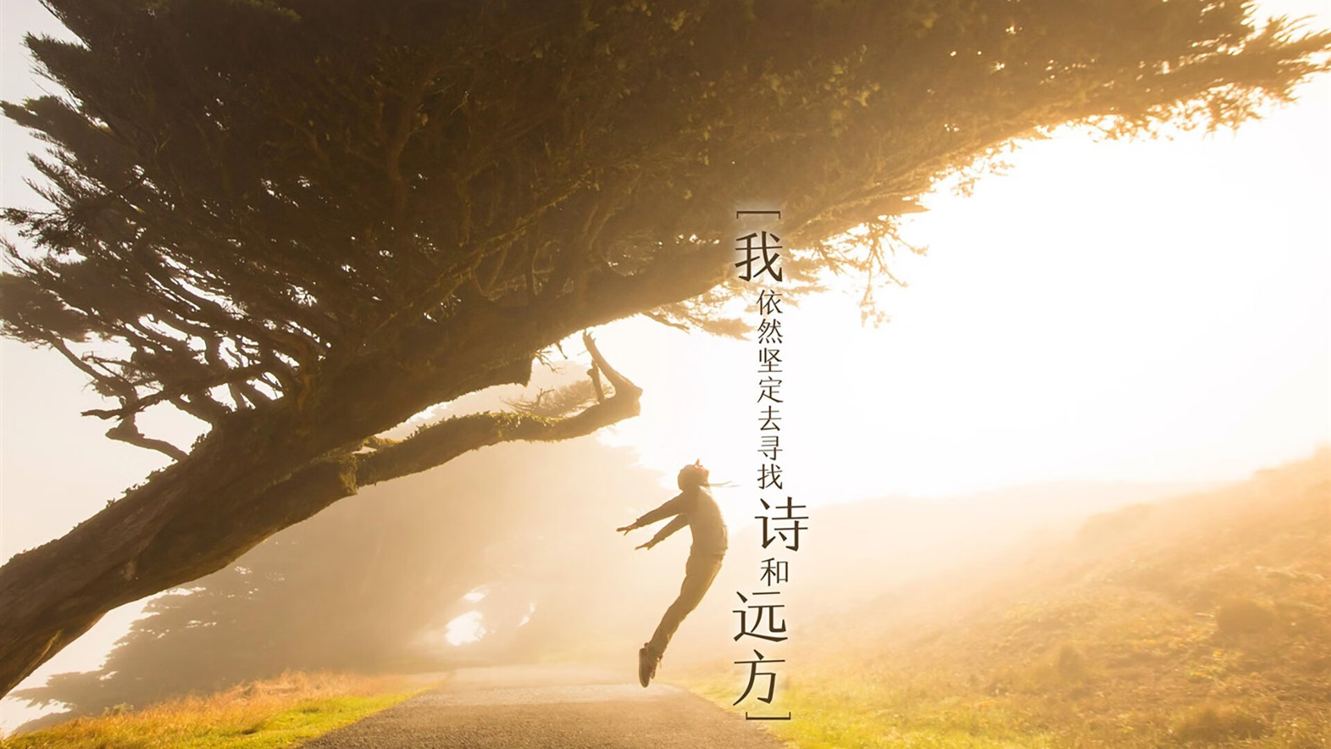 胶水为什么能粘东西?_胶水为什么那么黏