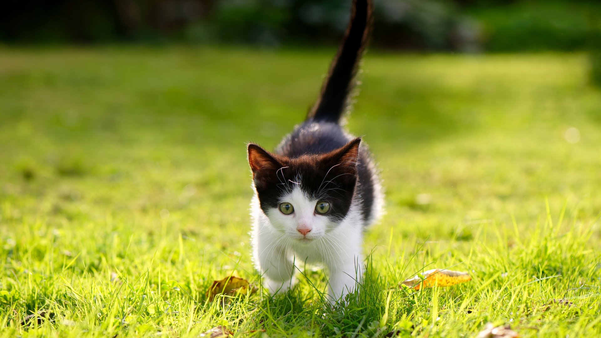 胶水为什么能粘东西?_胶水为什么那么黏