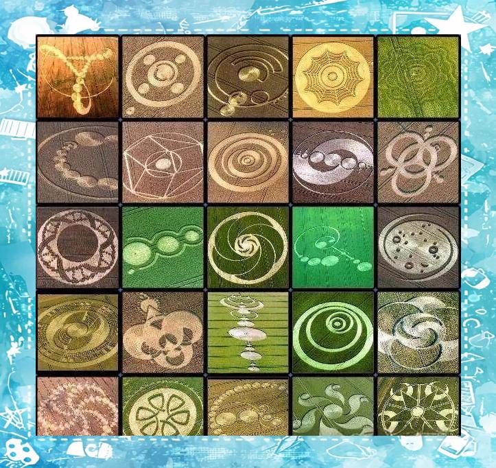 麦田圈与外星信息_麦田圈破译了