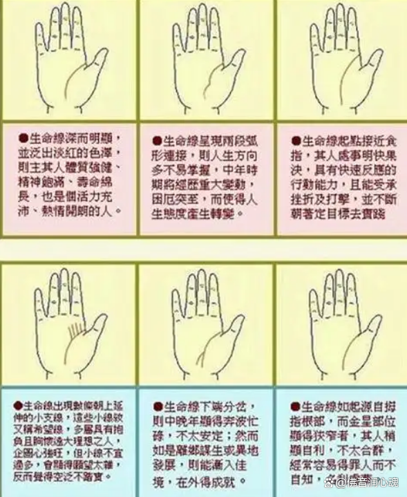 手相学的文化流传_手相的学问