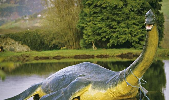 尼斯湖水怪新证据？_尼斯湖水怪存在证据