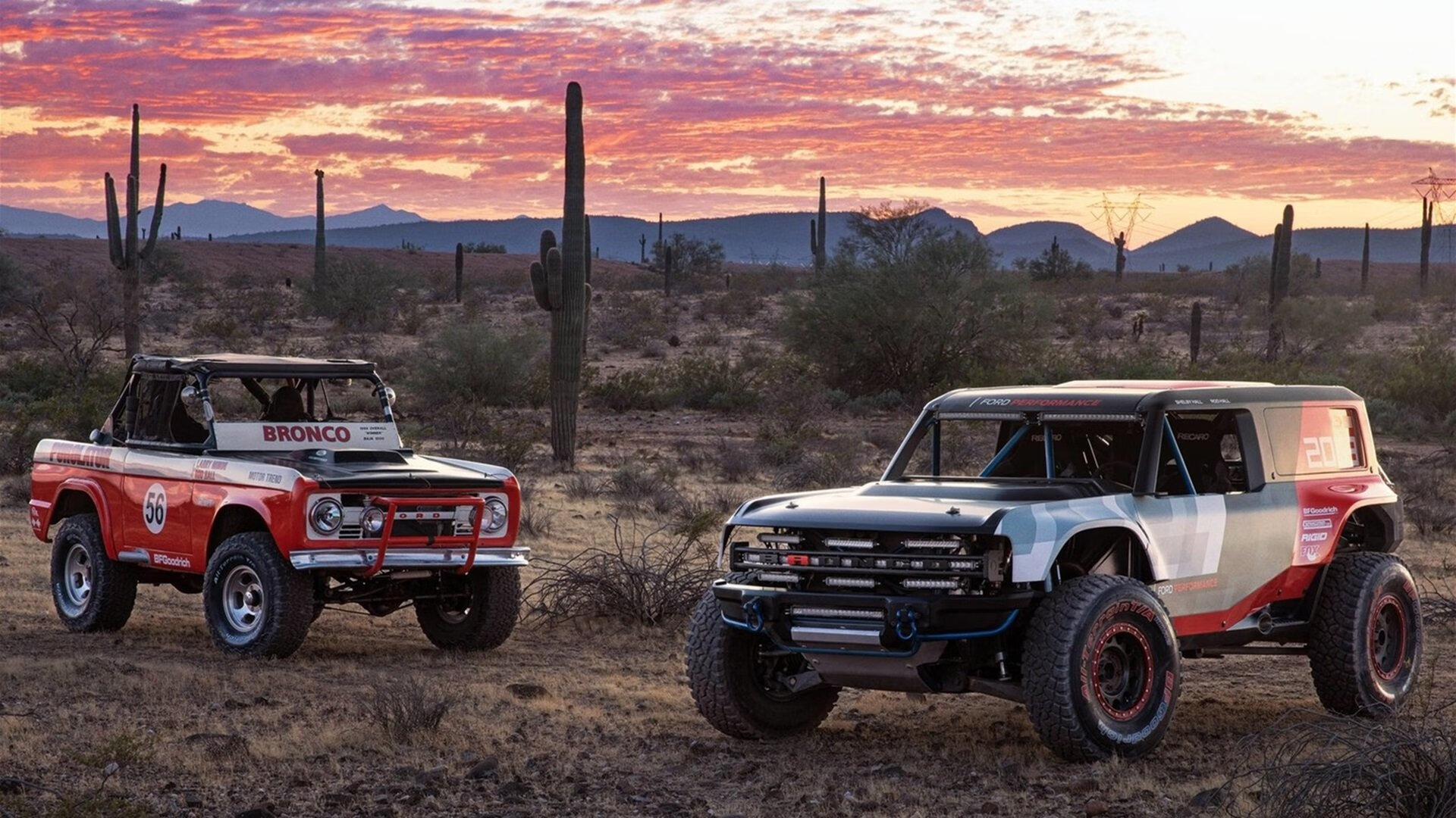 鱼类也会睡觉吗？_鱼到底会不会睡觉